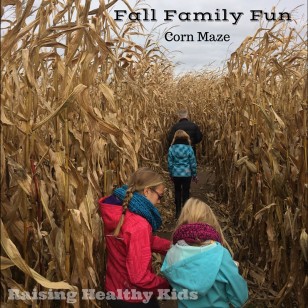 fall_fun_cornmaze