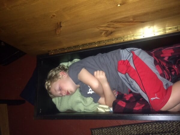 Fin in the Blanket Box