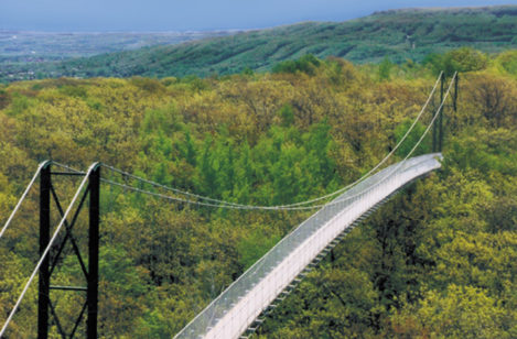 SC Suspension-Bridge