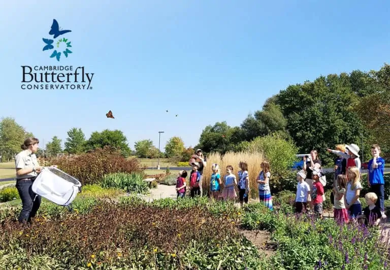 Monarch Tagging Weekend Cambridge Butterfly Academy