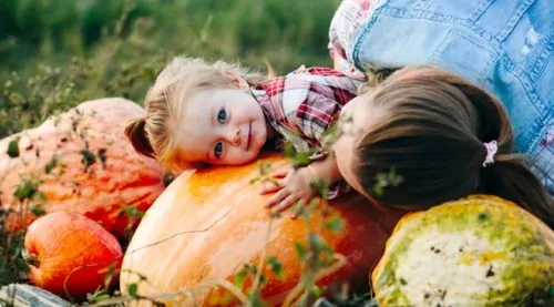 Pumpkin Patches in the GTA