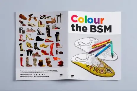 Colour the BSM