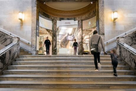 ROM Gallery Steps Family