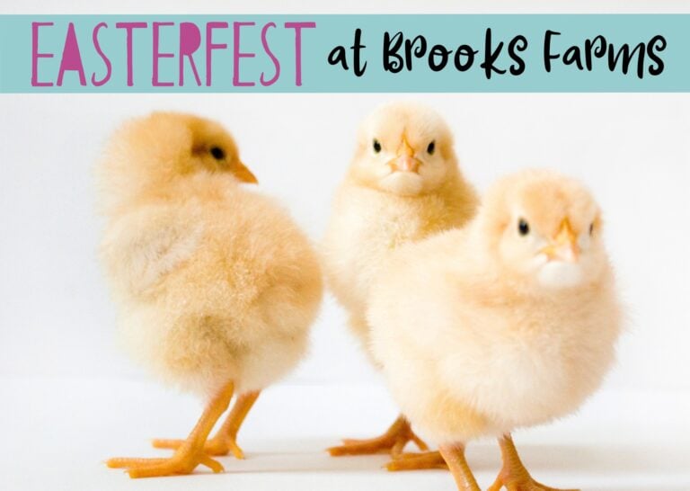 Easterfest at Brooks Farms