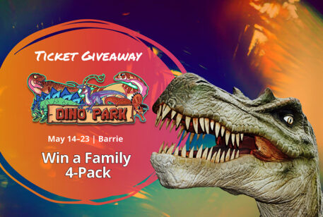 Dino Park Barrie