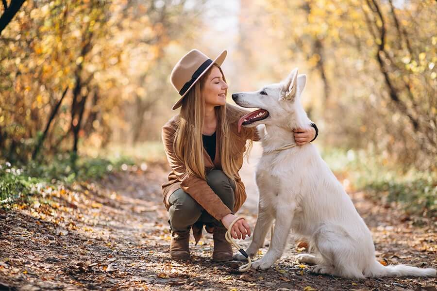 Pet Expo