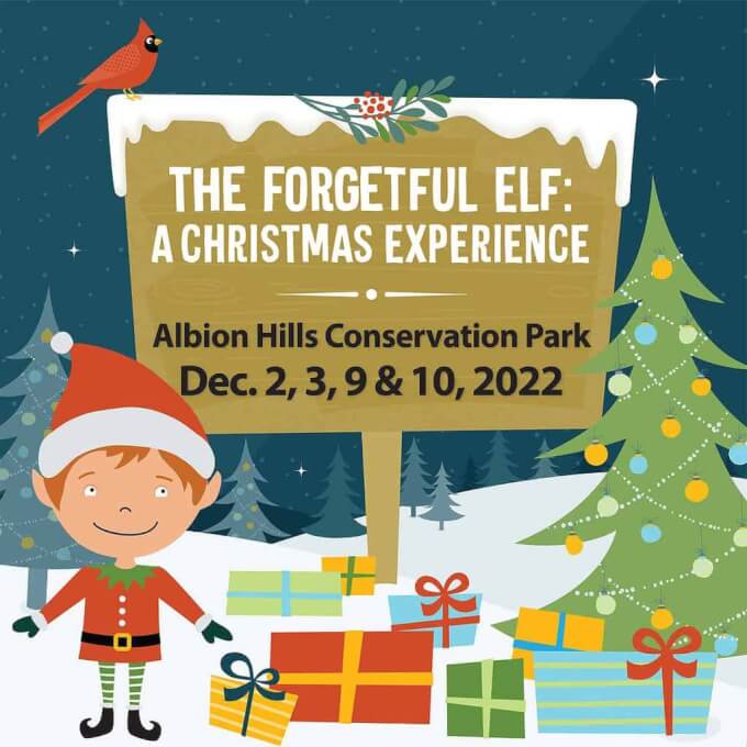 The Forgetful Elf TRCA