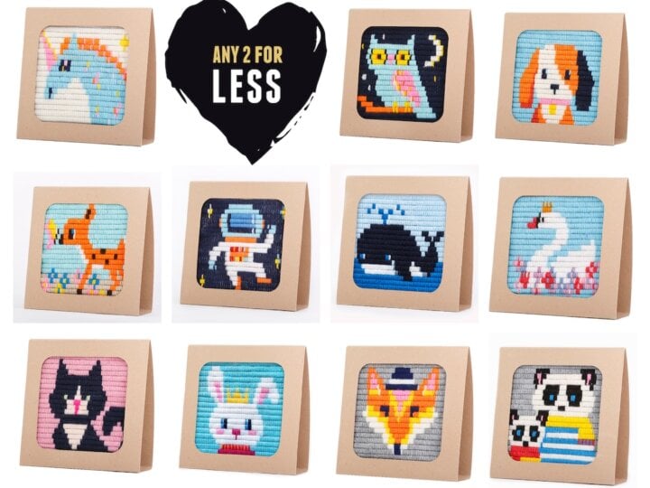 Image for 2 DIY Needlepoint Kits for Beginners