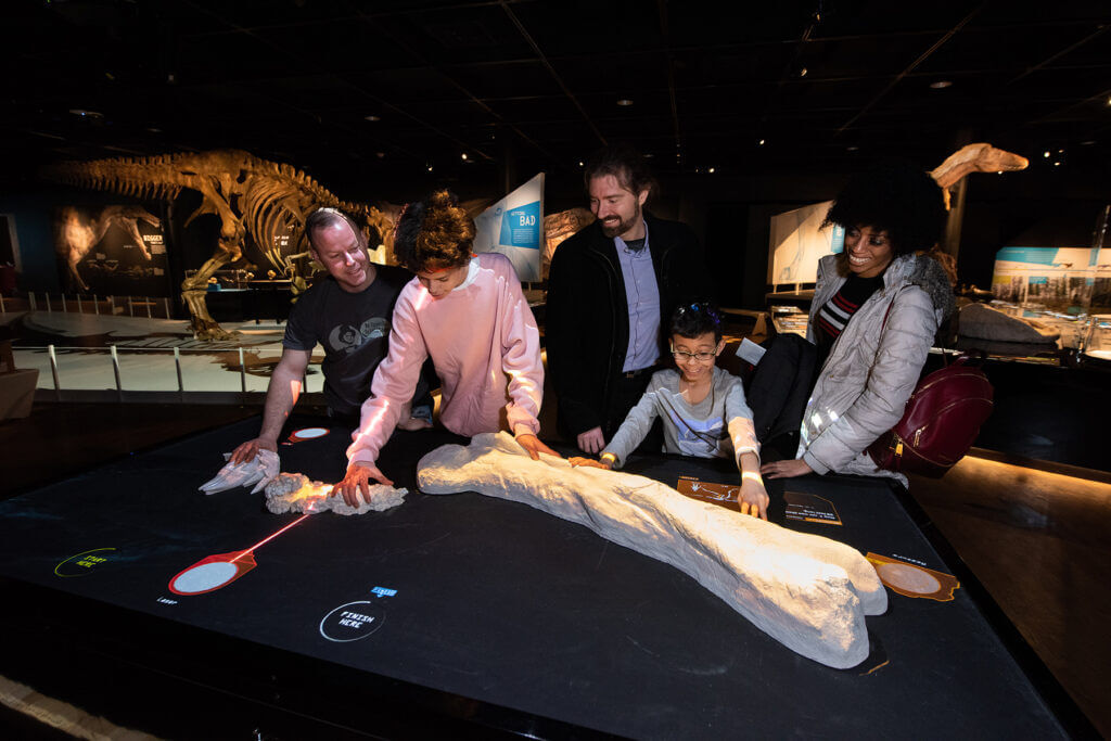 March Break at the ROM