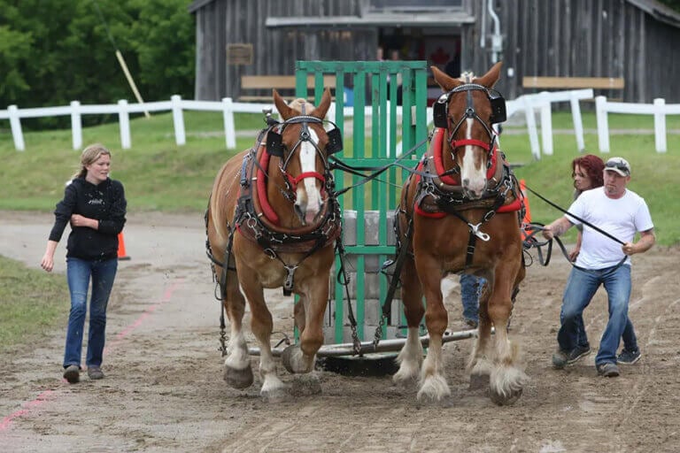 Caledon Spring Fair