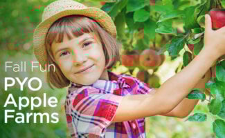Pick Your Own Apples GTA