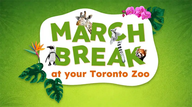 March Break at Your Toronto Zoo