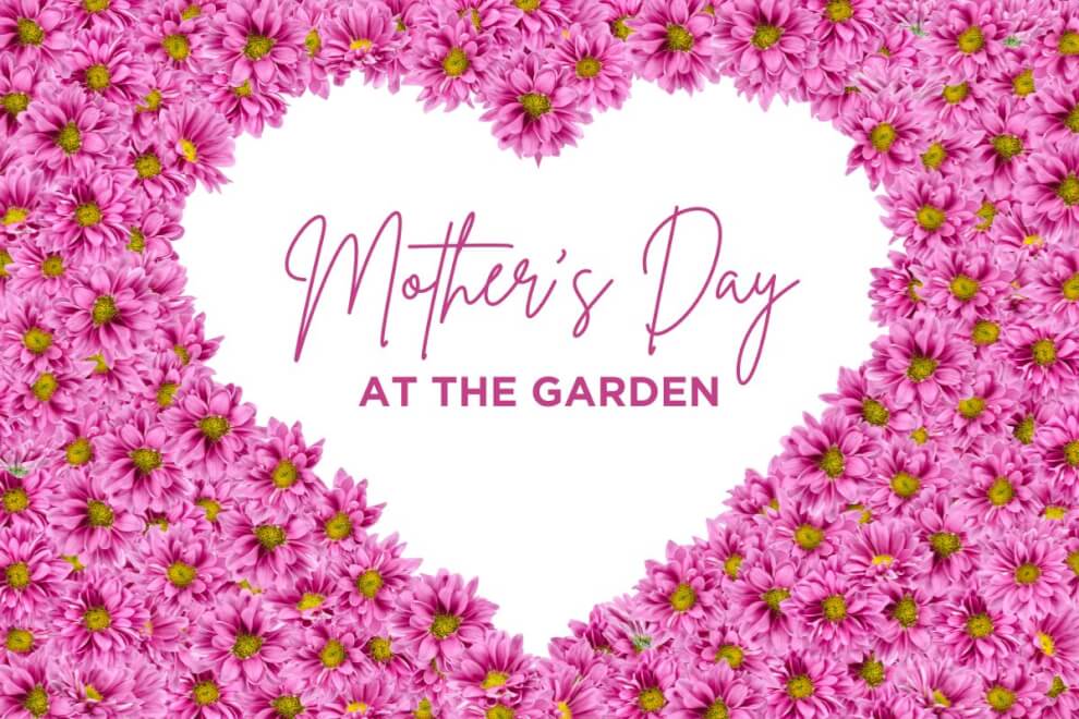 Mother's Day at TBG