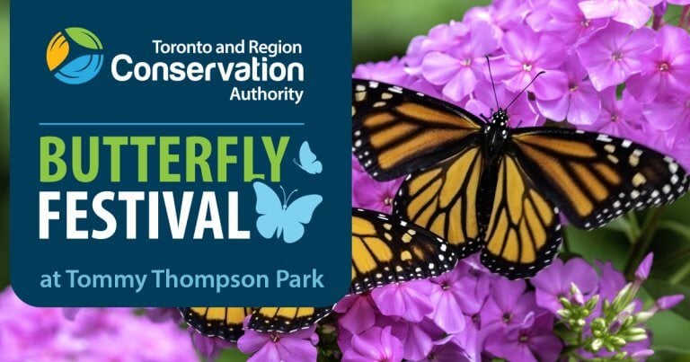 TRCA Butterfly Festival