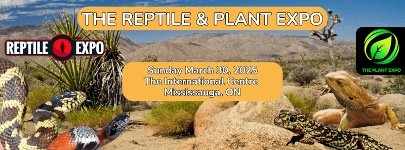 Reptile & Plant Expo