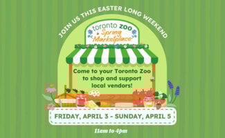Toronto Zoo Spring Marketplace