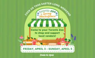 Toronto Zoo Spring Marketplace