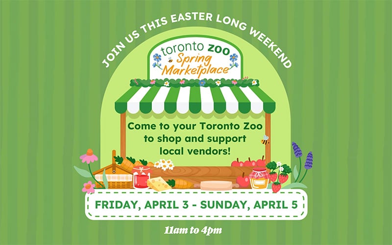 Toronto Zoo Spring Marketplace