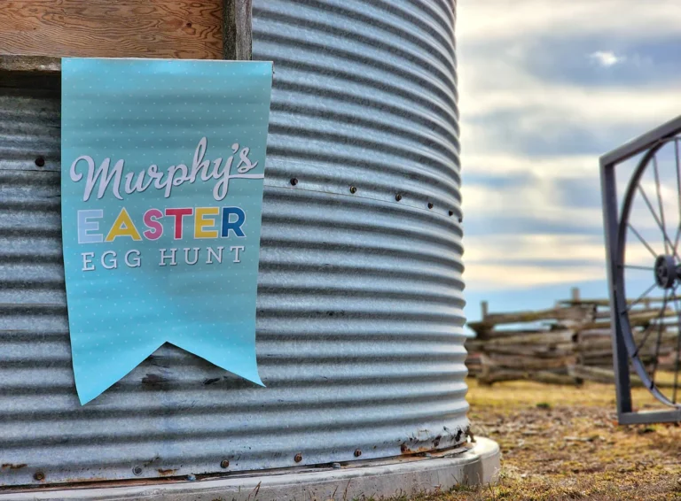 Murphys Farm Easter Egg Hunt