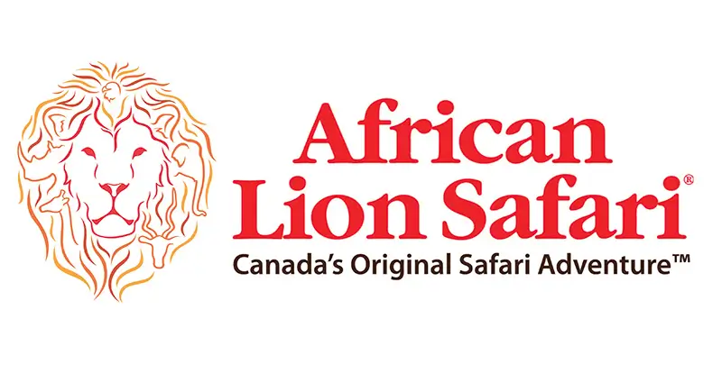 AfricanLionSafari