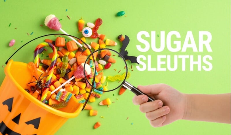 Sugar Sleuths