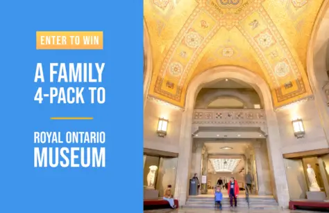 Enter to Win ROM Giveaway