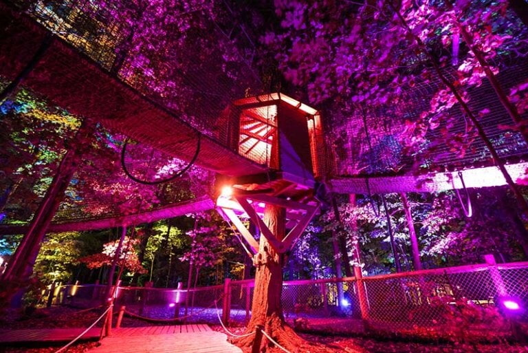 Treewalk Village Enchanted