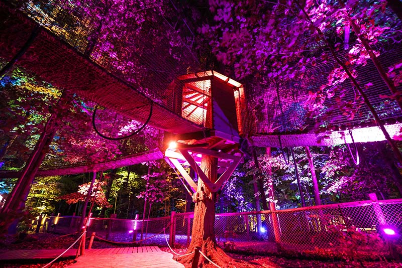 Treewalk Village Enchanted