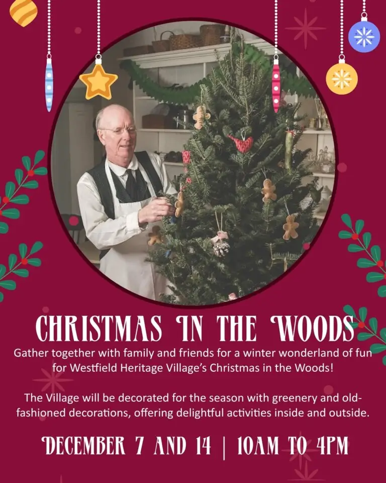 Christmas in the Woods