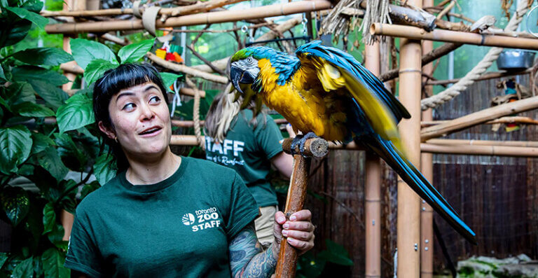 Toronto Zoo Meet the Guardians