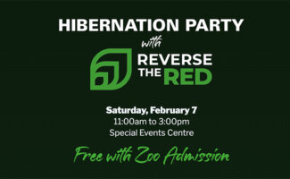 TorontoZoo-HibernationPartywithReversetheRed