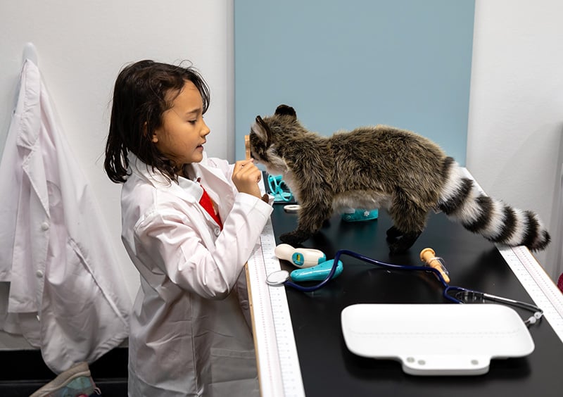 Celebrate Family Day with Hands-On Science at KidSpark