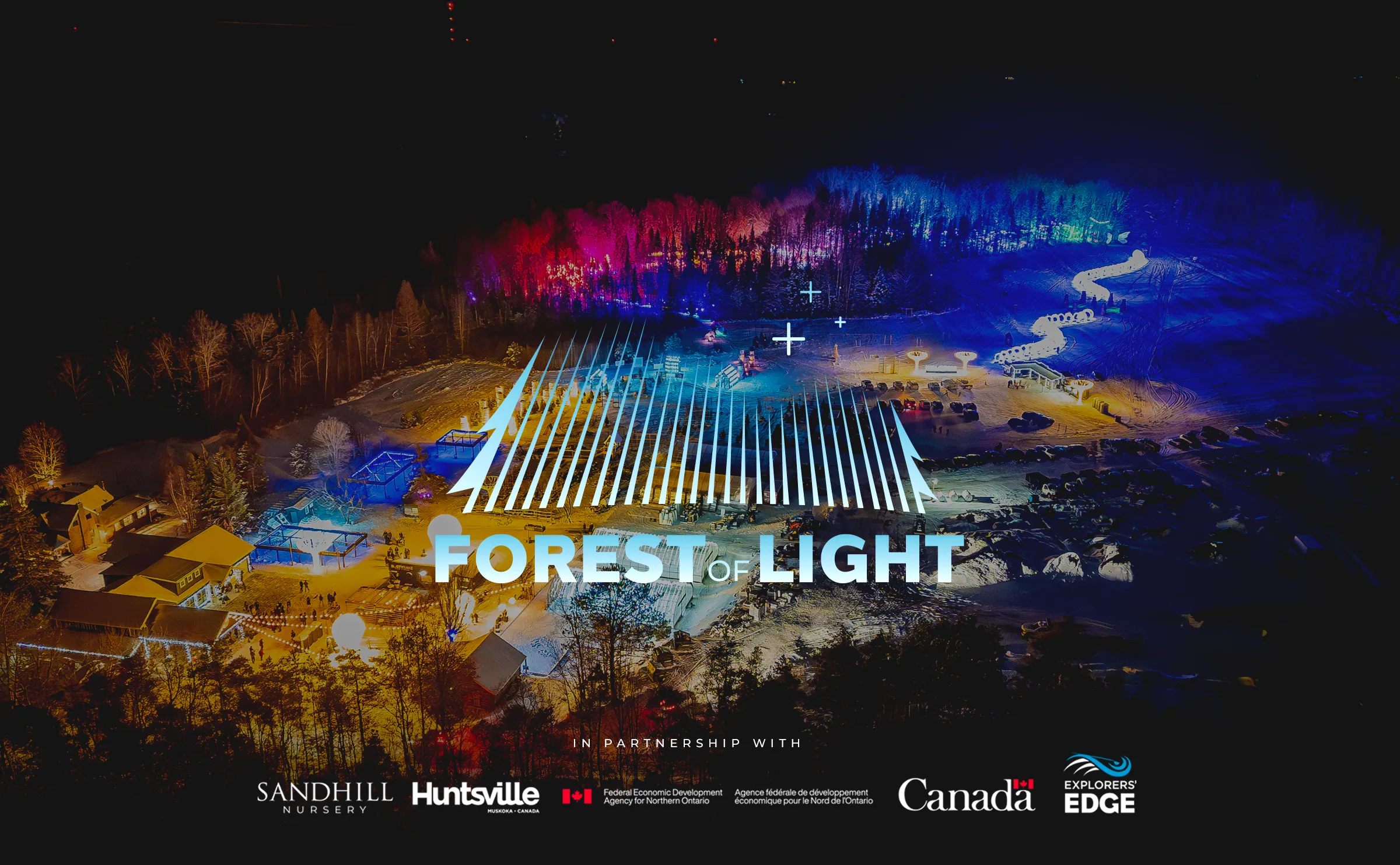 Sandhill-ForestofLight