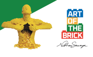 The Art of Brick