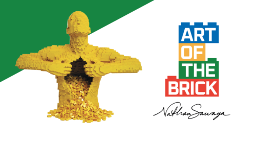 The Art of Brick