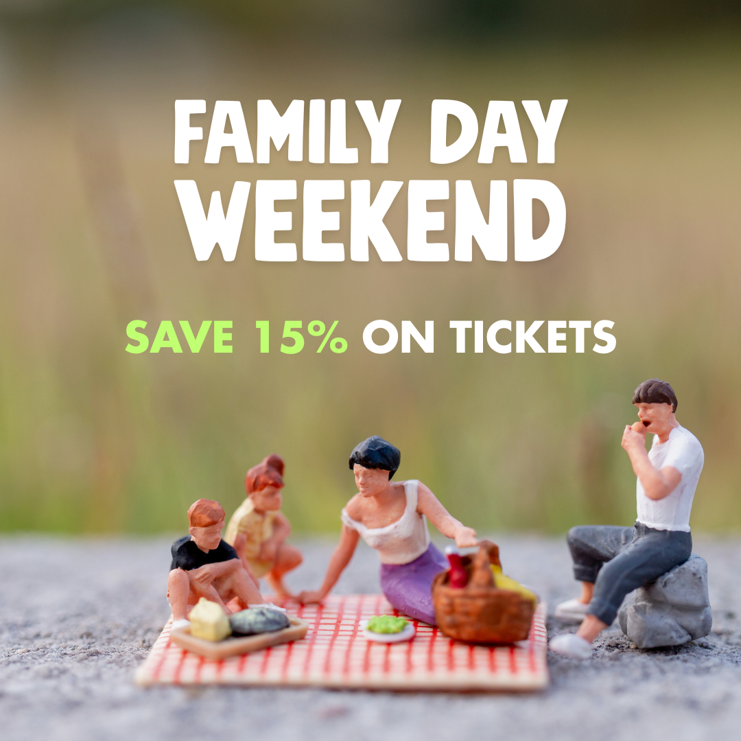 Family Day Weekend at Little Canada