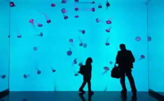 Ripley's Aquarium Planet Jellies