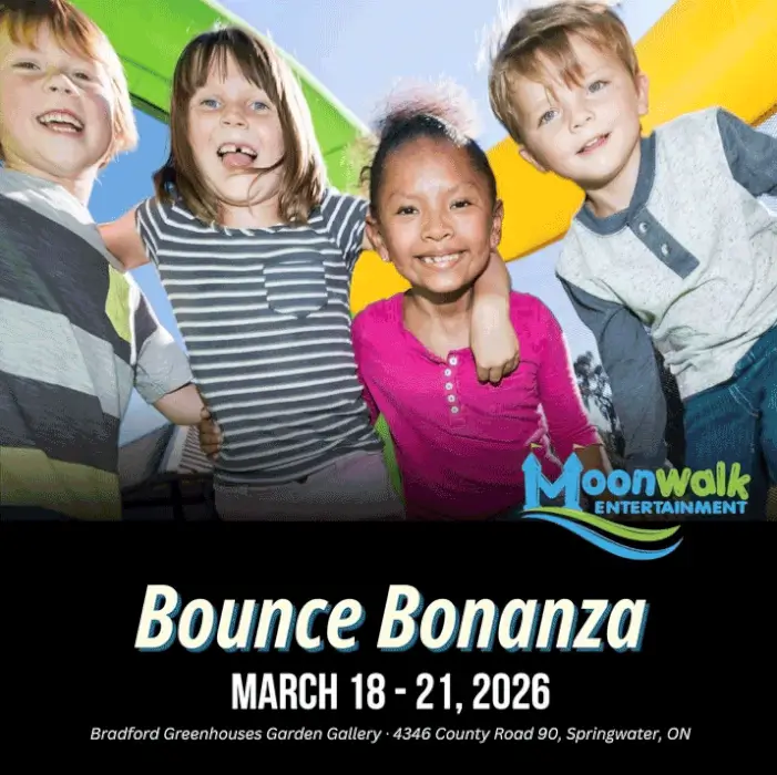 bouncebonanza512b728955dd68c88a9fff0000db7852