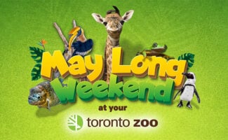 May Long Weekend at the Zoo