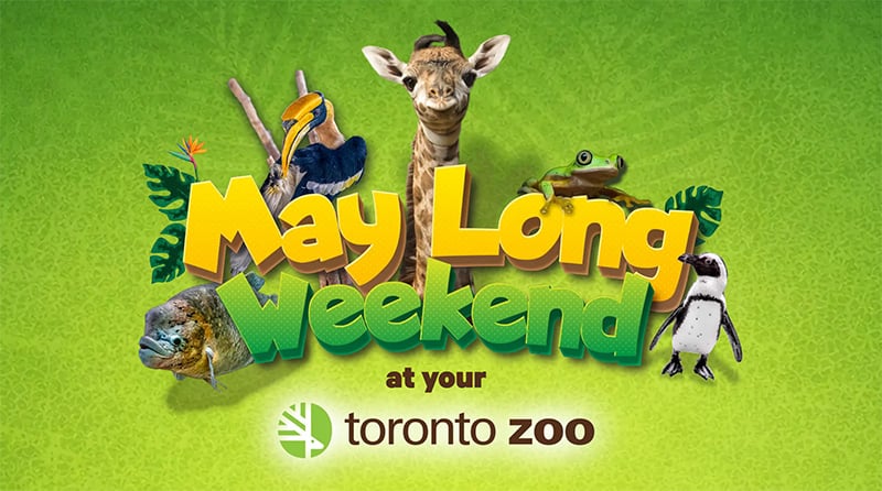 May Long Weekend at the Zoo