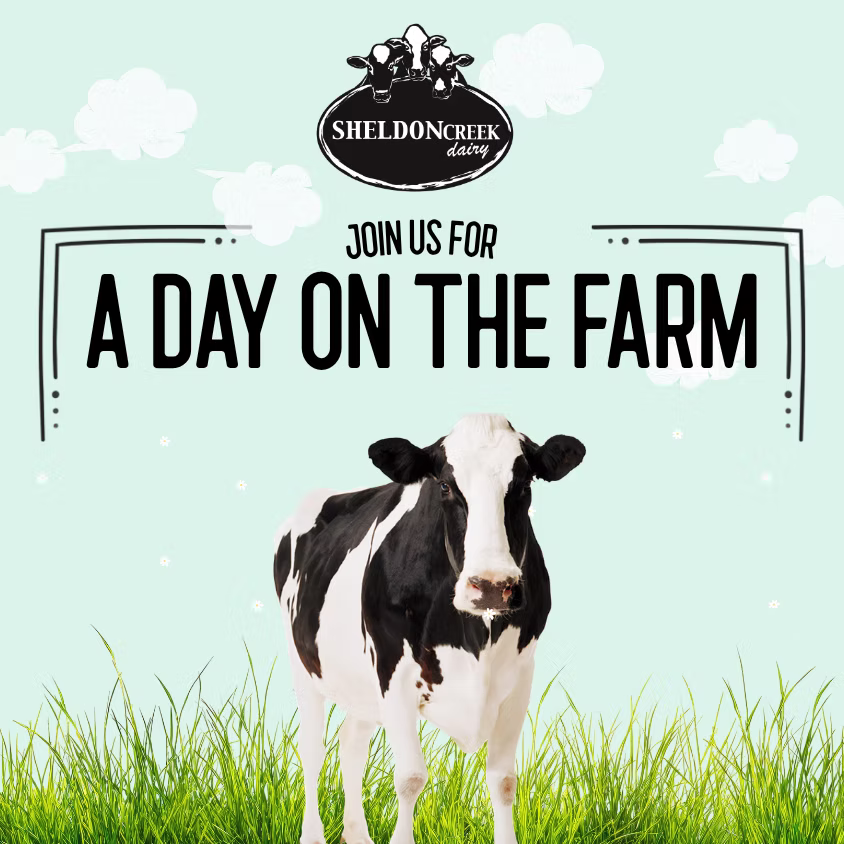 A Day on the Farm Poster