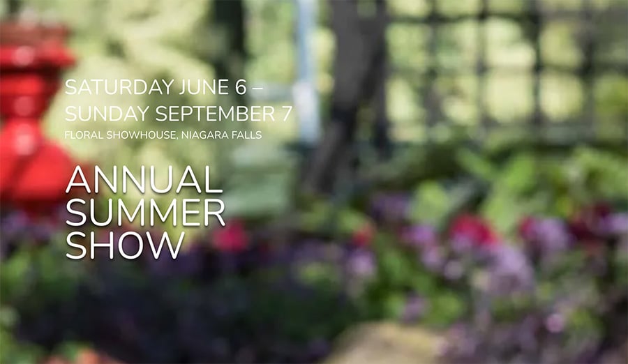 Annual Summer Show