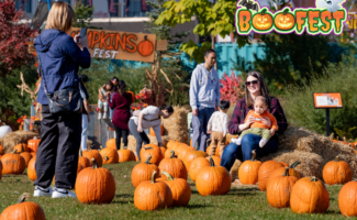 Boo Fest