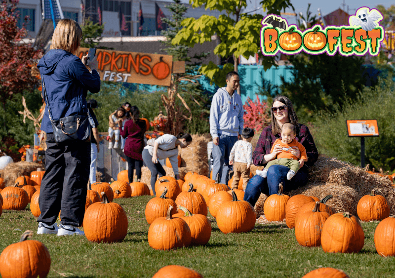 Boo Fest