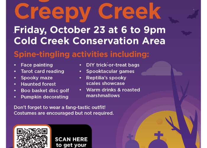 Night of the Creepy Creek