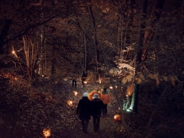 01_PRIMARY-PumpkinTrail