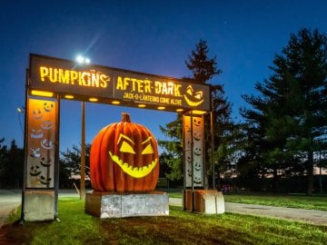 MPOSSIBLE Pumpkins After Dark - 750_8504