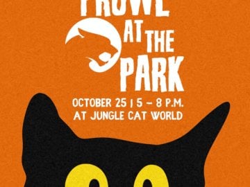 ProwlatthePark