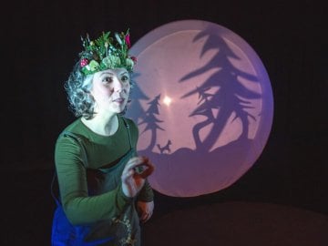 Quest for the Moon